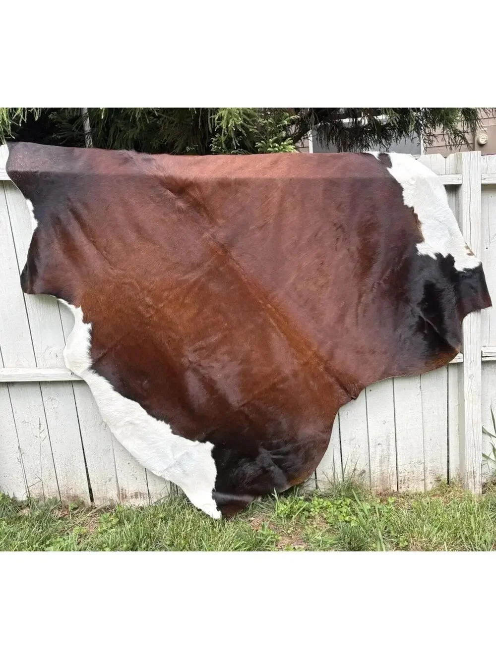 Brown and white Cowhide Leather Cow Skin Rug sunshine cowhide made In Brazil.